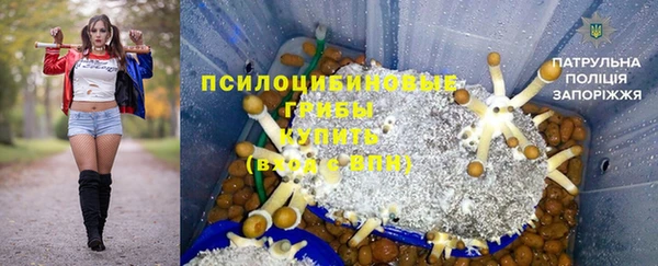 дурь Алексин