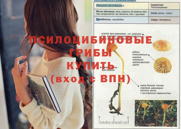дурь Алексин